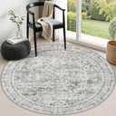 Round Area Rug Living Room: 5 ft Modern Washable Indoor Carpet