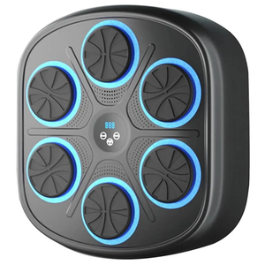 Music Boxing Machine with Boxing Gloves,Wall Mounted, Bluetooth Boxing Training Punching Equipment