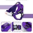 AUROTH Dog Harness and Leash Set, Soft Padded Service Dog Vest with 5.25FT Dog Leash, No Choke, Easy On Pet Vest, Adjustable Reflective No Pull Pet Vest Medium Sized Dog, Easy Walking and Training