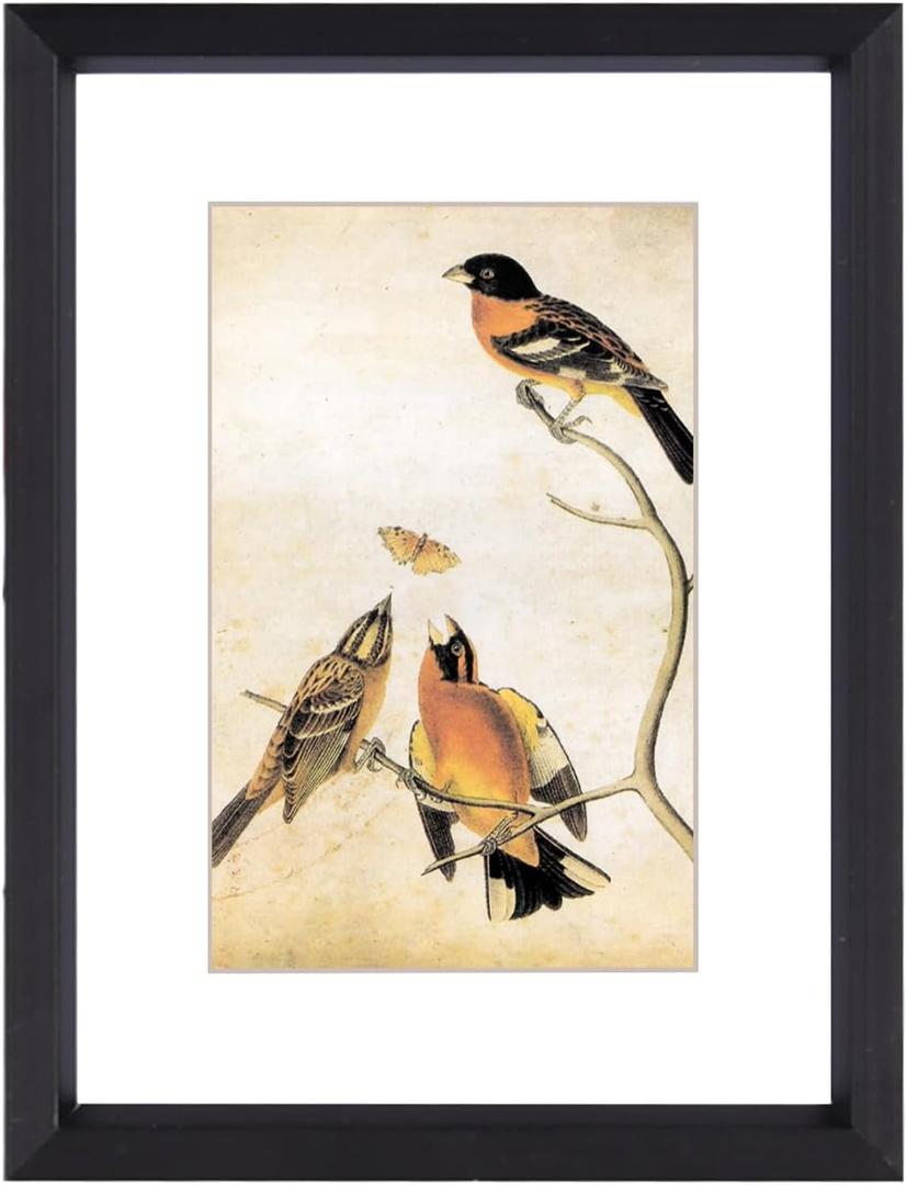 3x4 Picture Frame, Black Metal Photo Frames with HD Glass, Fits 2x3 with Mat or 3 x 4 without Mat, Display for Wall and Table, 1 Pack