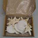 20 PCS Christmas Tree Hanging Ornaments Natural Starfish Sea Shells Decorations Beach Style for Wedding Birthday Craft Projects