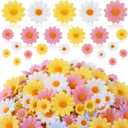 240 Pcs Fabric Daisy Flower Head for Crafts, 3 Size Faux Flower Graduation Cap Decoration Fall Outdoors Decor, Fake Daisy Heads Decor for Summer Garland Wedding DIY(Bright Colors)