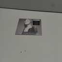 Veronica Electronica