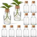 12 Pack Glass Plant Propagation Stations, Hydroponic Vases Tabletop Plant Terrarium Jar for Indoor Flower Arrangements Glass Planter Kitchen Office Decoration Gifts