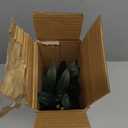 Waipfaru Faux Olive Branches for Vases, Olive Tree Branches with Lifelike Olives, Artificial Greenery Stems Decor for Centerpieces Floral Arrangements Vases (3Pcs, 18 Inch)