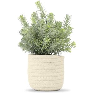 Hopewood Small Artificial Plants Eucalyptus with a Weave Basket Potted Plants for Home Office Desk Farmhouse Indoor Decor
