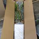 7ft Artificial Gardenia Tree for Indoor & Outdoor Dcor - Lifelike Foliage, Eco-Friendly Design, Sturdy Base - Perfect for Patio, Living Room, or Rustic Garden Themes