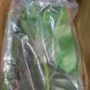 Lifelike Bird of Paradise Artificial Plant,5ft Faux Banana Leaf Tree with 12 Trunks - Perfect Indoor Silk Floor Plant for Home Decor in Living Room, Office, and Bedroom 1Pack