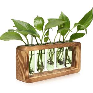 Glass Plant Propagation Station with 5 Test Tubes Colorful Planter Vase Birthday Gifts for Women in Wooden Stand