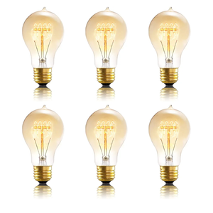 A19 Incandescent Light Bulbs 60 Watt,120v Edison Bulbs Dimmable 2200k Warm Yellow E26 Base, Antique Retro Style Incandescent Bulb, Amber Glass Squirrel Cage Filament Decorative Lamp, 6Pack