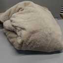 Bedsure GentleSoft Fluffy Beige Throw Blanket for Bed, Faux Fur Gifts Beige Decor Light Tan Khaki Blanket Neutral Decoration for Home, Soft Cozy Fuzzy Plush Thick Warm Sherpa Fleece Cute Stuff, 50x60