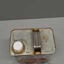 Thompsons WaterSeal Solid Color Waterproofing Wood Stain and Sealer, Natural Cedar, 1 Gallon