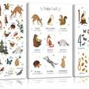 3Pcs Animal Alphabet Numbers Canvas Wall Art Classroom Nursery Painting Educational ABC Poster Prints Kids Playroom Picture Positive Affirmations Animal Wall Decor for Boy Girl Room 12x16in Framed (16L" x 12W")
