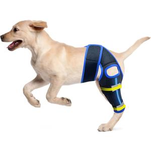 Dog Knee Brace, Dog Leg Brace with Adjustable Straps, 10 Stabilizers Dog Knee Brace for Torn Acl Hind Leg or Back Leg, Kneecap Dislocation, Cruciate Ligament Injury and luxating Patella, 9*8*30"