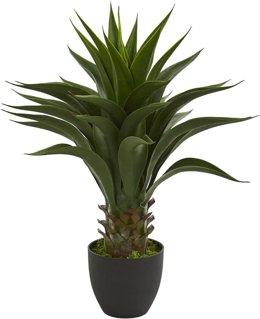 Nearly Natural 28” Agave Artificial Plant, Green
Thick Dark Green Leaves, Realistic Texture Trunk, Nursery Pot Included, Ideal for Bathroom Countertop or Shelf Decor