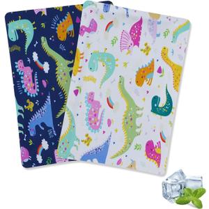Cerbonny Ice Packs For Lunch Boxes,Lunch Box Ice Packs,Ice Pack For Lunch Box,Ice Packs For Cooler,Freezer Packs,Fit For 3+,Dinosaur-2ps