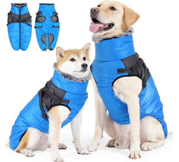 Dog Coat with Harness Warm Winter Coats,Waterproof Upgrade Zip Up Dog Clothes,Reflective Puffer Jacket for Dogs (Blue, Small)