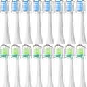 Toothbrush Replacement Heads for Philips Sonicare 16(Green and Blue) Pack Soft Replacement Electric Toothbrush Head Compatible with Philips Sonicare Electric Toothbrush
