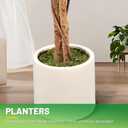 Curved Leaf 5FT Artificial Ficus Tree with White Plante UV Resistant