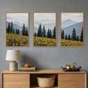 HPNIUB Large Boho Wildness Sunflower Framed Canvas Wall Art Set -24"x36"x3