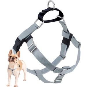 2 Hounds Design Freedom No Pull Dog Harness, Adjustable Harness, Easy Walking & Comfortable Control, Fits Small, Medium & Large Dogs, Solid Colors, Made in USA, 1" LG, Silver