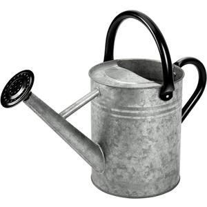 Metal Watering Can, One Gallon Watering Cans Stainless Steel for Outdoor Indoor Garden Plants Watering (Silver 1 Gallon)