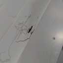 VEVOR 72" Tall Storage Cabinet with Doors, Drawer, 3 Adjustable Shelves, Utility Pantry for Kitchen, Living Room, Dining, Laundry, Pearl White