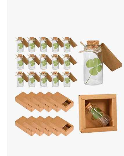 Bucherry 20 Set St. Patrick's Day Gift Bulk Four Leaf Clover Glass Token Charms with Greeting Boxes Irish Day Lucky Shamrock Gifts for DIY Friends Coworkers Employee Office Party Favors (Oval)