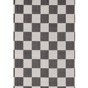 IndoorArea Rug 24x54
