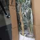 FEELEAD 7ft Olive Trees Artificial Indoor - Tall Faux Olive Tree 7 feet (84") with Pot, Fake Plants Natural Olive Branches and Realistic Leaves Olive Silk Tree for Home Office Decor