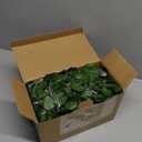 Unittype 15 Pcs 6.6 ft 300 LED Fake Ivy Vines Window Curtain String Light for Bedroom, Artificial Hanging Ivy Vines Plant Garland with Light for Wall Garden Outdoor Indoor Decor(Eucalyptus Leaf)