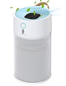 TaoTronics Air Purifier for Home 312 ft² Large Room H13 True HEPA Air Filter, CADR 300 m³/ h, Remove 99.97% Smoke Dust Mold Pollen Pet Dander, Air Cleaner with Sleep Mode Leather Handle