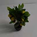 Artificial Potted Plants 15.7 inches Fake Lemon Tree Artificial Lemons Citrus Tree with Black Pot Faux Plants Indoor for Home,Office, Living Room Table, Desk