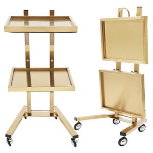 2 Tier Metal Rolling Cart, Stainless Steel Salon Tray with Wheels, Foldable Utility Carts, Folding Salon Tray Trolley for Tattoo (Golden)
