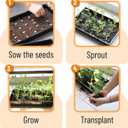 Mr. Pen- Plastic Growing Trays, 5Pack, Black, 17x10, Plant Tray, Seed Tray, Seedling Tray, Propagation Tray, Plant Trays for Seedlings, Planting Trays, Microgreens Growing Trays, Seedling Starter Tray