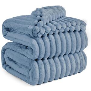 Bedsure Queen Blanket for Bed - GentleSoft Cozy Soft Blankets for Women, Cute Large Fall Throws for Girls, Ashley Blue, 90x90 Inches (Queen (90" x 90"))
