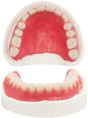 Fake Teeth-Do It Yourself Denture-Top and Bottom Temporary Teeth, Easy and Convenient, Common to All situations