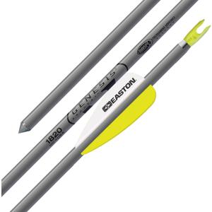 Easton Genesis XX75 Aluminum Arrows with Diamond Vanes, 6 Pack, SILVER
