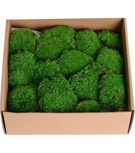 TurelinnG Preserved Moss Decor - Real Fores
