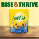 belVita Bite Size Snacks, Blueberry Crunchy Bites, 5 oz