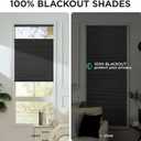 Joydeco No Tools No Drill Blinds for Indoor Windows, Cordless Window Blinds Cellular Shades Top Down Bottom Up Blackout Honeycomb Blinds Thermal Insulated Noise Reduction (Black, 31" W x 64" H)