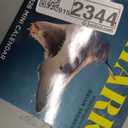 Shark Mini Wall Calendar 2026
