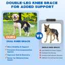 Dog Knee Brace for Torn ACL Hind Leg, Dog Leg Braces for Back Leg Support with 4 Metal Stabilizers Helps with Torn CCL, Luxating Patella, Ligament Injuries, Hip Dysplasia,M