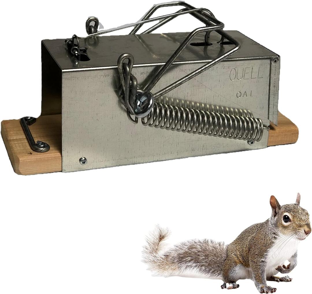 Big Squirrel Trap Indoor Outdoor  Medium Rodent Trap  Ouell Traps  Black and Grey Squirrels  QAI Quell  Most Powerful Trap