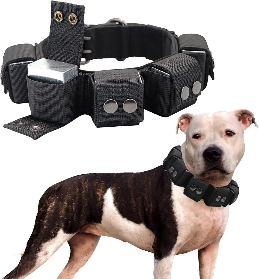 Dog Collar, Tactical Dog Collar, Weighted Dog Collar with Weights for Dog Training and Exercise Equipment - Free Weights, Small, Medium, Large Dogs (1.5" Wide Neck Size 16"-20")