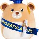Graduation Bear Plush Pillow Stuffed Class of 2025 Gifts for Boys and Girls, Stuffed Animal Bear Pillow with Cap, Graduation Plush Animal Gift for Boys Girls for Preschool and College High School 13inch