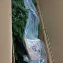 Fraser Hill Farm Woodside Pine Christmas Tree, 7.5 Feet Tall, Artificial Tree with Metal Base Includes White Incandescent Smart Lights, Artificial Holiday Tree Easy to Set Up and Easy to Connect (Clear Smart String Lighting)