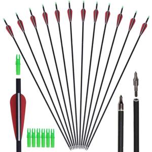 GPP Archery Carbon 30-Inch Targeting/Hunting Arrows Field Points Replaceable Tips for Recuve Bow & Compound Bow (12PK Black)
