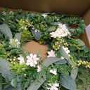 30inch Eucalyptus Wreath for Front Door - Large Artificial Greenery Outdoor Wreath, Spring Summer Decor Door Wreath with Olives Leaves,Mixed Berry for Porch,Window, Farmhouse, Home,Holiday, Hanging