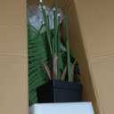 6FT Artificial Palm Tree, Tall Faux Palm Tree Indoor with Black Fake Plants Tall, Artificial Plants with Lifelike Leaves for Home Office Decor (Black)